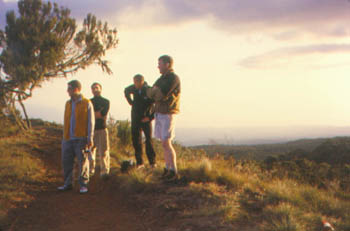 moorland at 9000 feet, Kilimanjaro