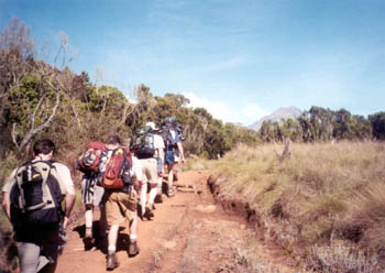 hiking through moorland, Kilimanjaro