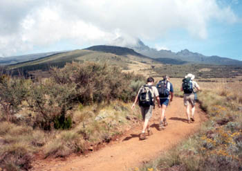 hiking through moorland, Kilimanjaro