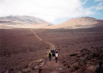 plateau between Mawenzi and Kilimanjaro