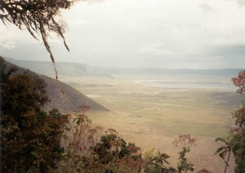 Ngorongoro Crater