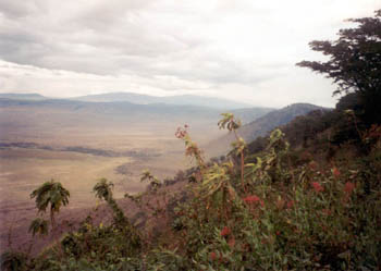 Ngorongoro Crater