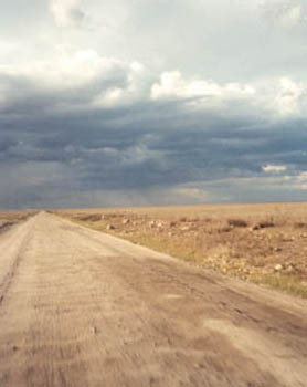 Serengeti plain