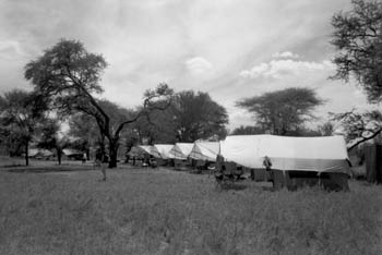 Serengeti camp