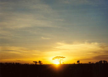 Serengeti sunrise