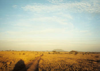low sun on the Serengeti