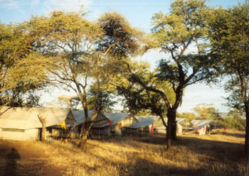 parting view of safari camp