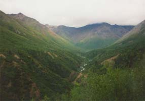 upper reaches of Nugget Creek