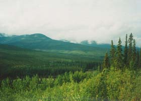 along the Steese Hwy