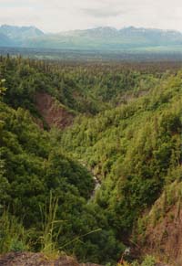 gorge near Denali State Park