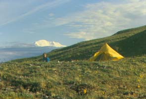 Denali summit