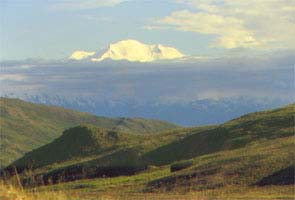 Denali above the clouds