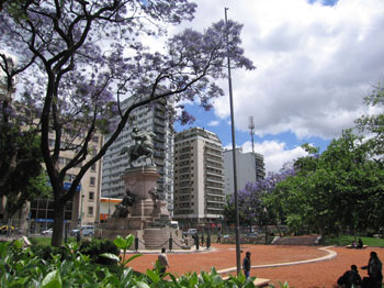 purple trees in Buenos Aires in November