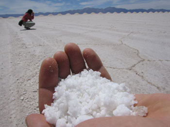 a handful of salt at Salinas Grandes, northwest Argentina / by Joy