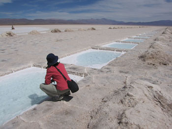 salt pits at Salinas Grandes, northwest Argentina