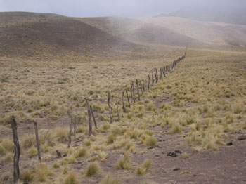 along the road to Cachi, Argentina