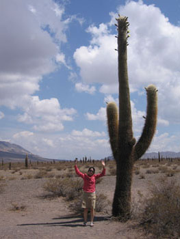 small and large cacti