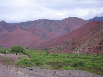 the road south to Calfayate, Argentina