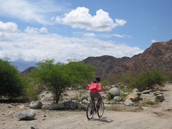 biking in Calfayate, Argentina