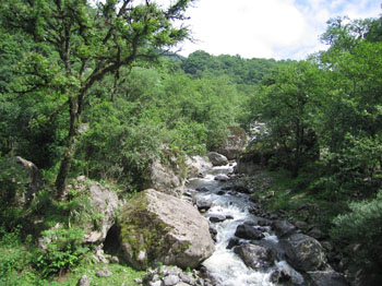 green forest, river descending toward Tucuman