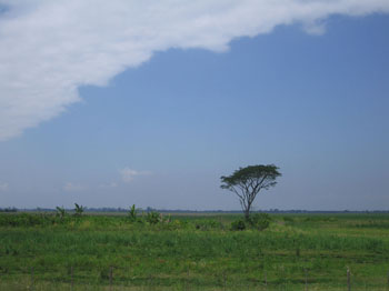 flat fields outside Tucuman, Argentina