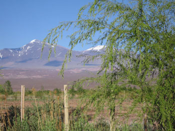 morning sun on the Andes, Barreal, Argentina