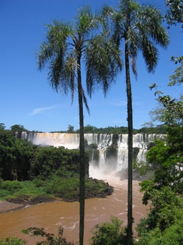 Twin palms at Iguazu Falls, Argentina / by Joy