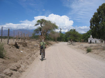 biking in Calfayate, Argentina / by Joy