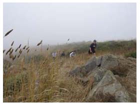 Muir Beach hike