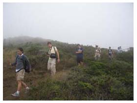 Muir Beach hike