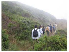 Muir Beach hike