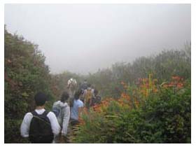 Muir Beach hike