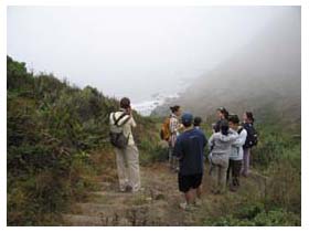 Muir Beach hike