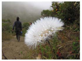 Muir Beach hike