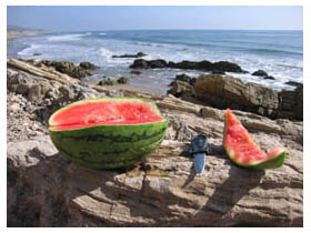 beach watermelon