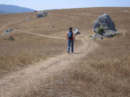 hiking by Tomales Bay