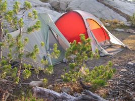 glowing tents