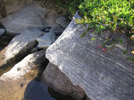 water rings around a rocky pool
