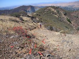 nearing the top of eagle peak