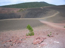 pathways atop cinder cone