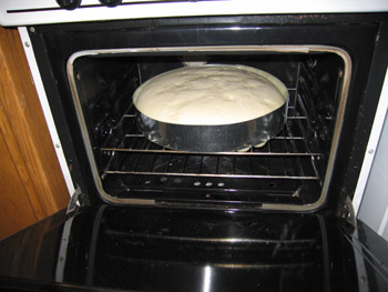 the first bun is rising in my oven
