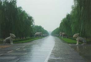 the walk between gates at the Ming Tombs