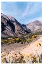 the road into Yosemite, by Beckett