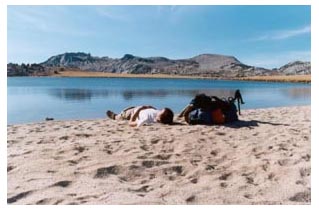 beautiful sandy beach, by Beckett