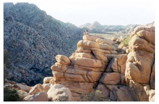 climbing the buttress -by J.Lai