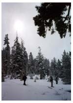 snowshoeing