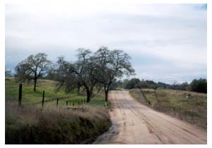 the quintessential dirt road