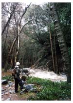 Joanna in the rain, flooded river