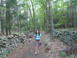 Catskill stone walls