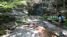 Joy by the brook